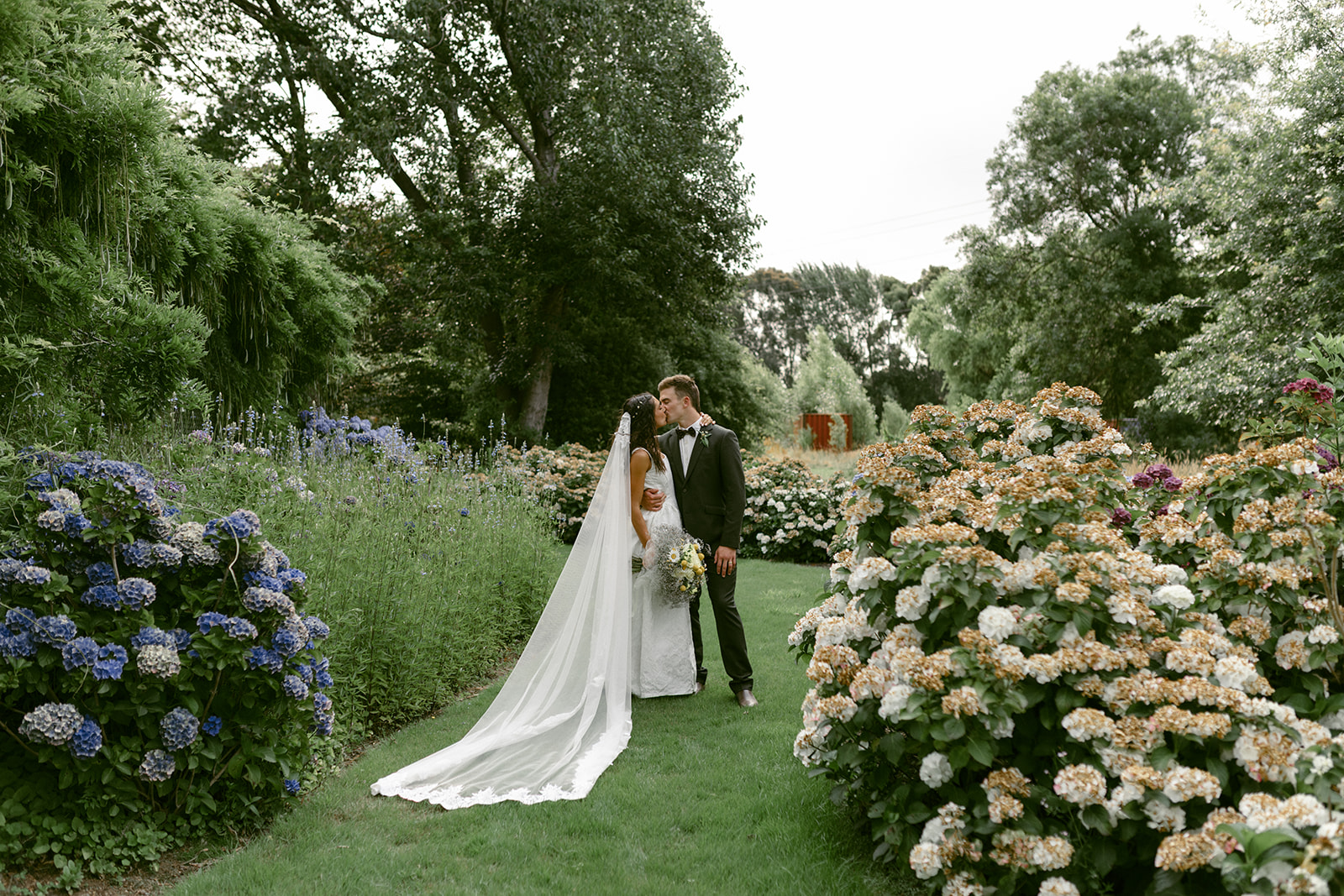 Bride and groom kissing in a garden with hydrangeas and a long veil.